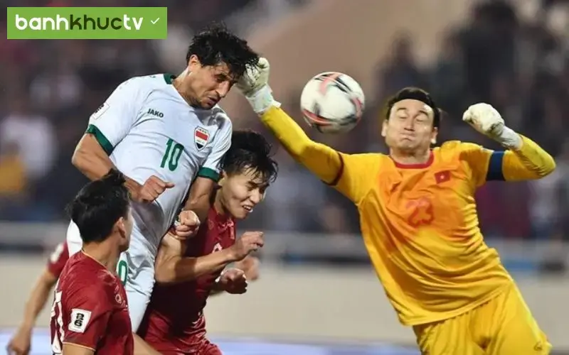 Các nội dung đáng chú ý của danh mục